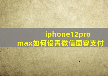 iphone12pro max如何设置微信面容支付